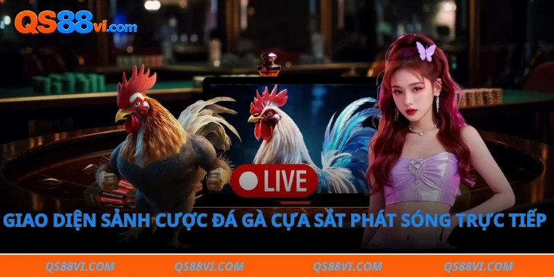 Giao diện sảnh cược đá gà cựa sắt phát sóng trực tiếp chất lượng cao 